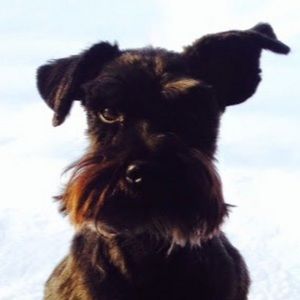 Meet your Posher, James